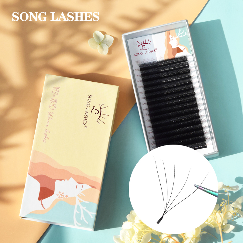 Eyelash Extension Logo - Lied Wimpers Magnetische Lade 5D W